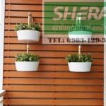 Sherawood gỗ ốp tường